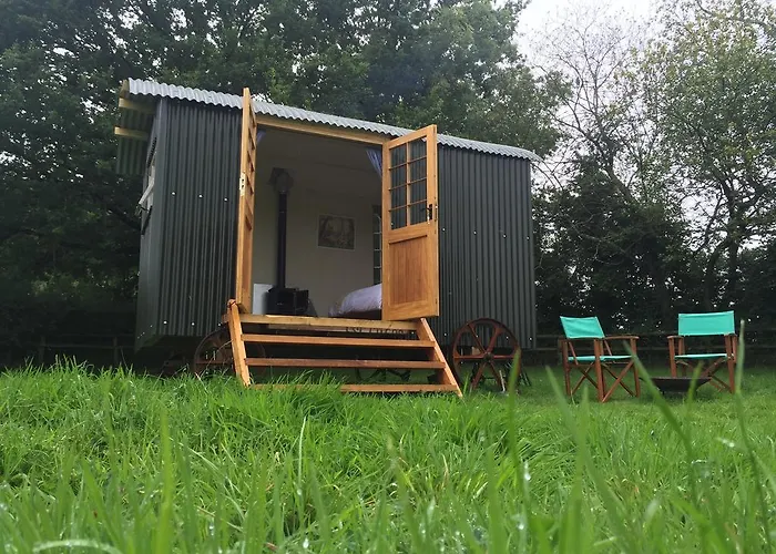 Mollies Hut