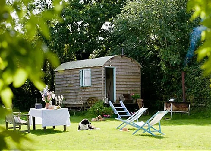 Mollies Hut