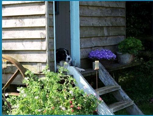 Farm stay Mollies Hut *